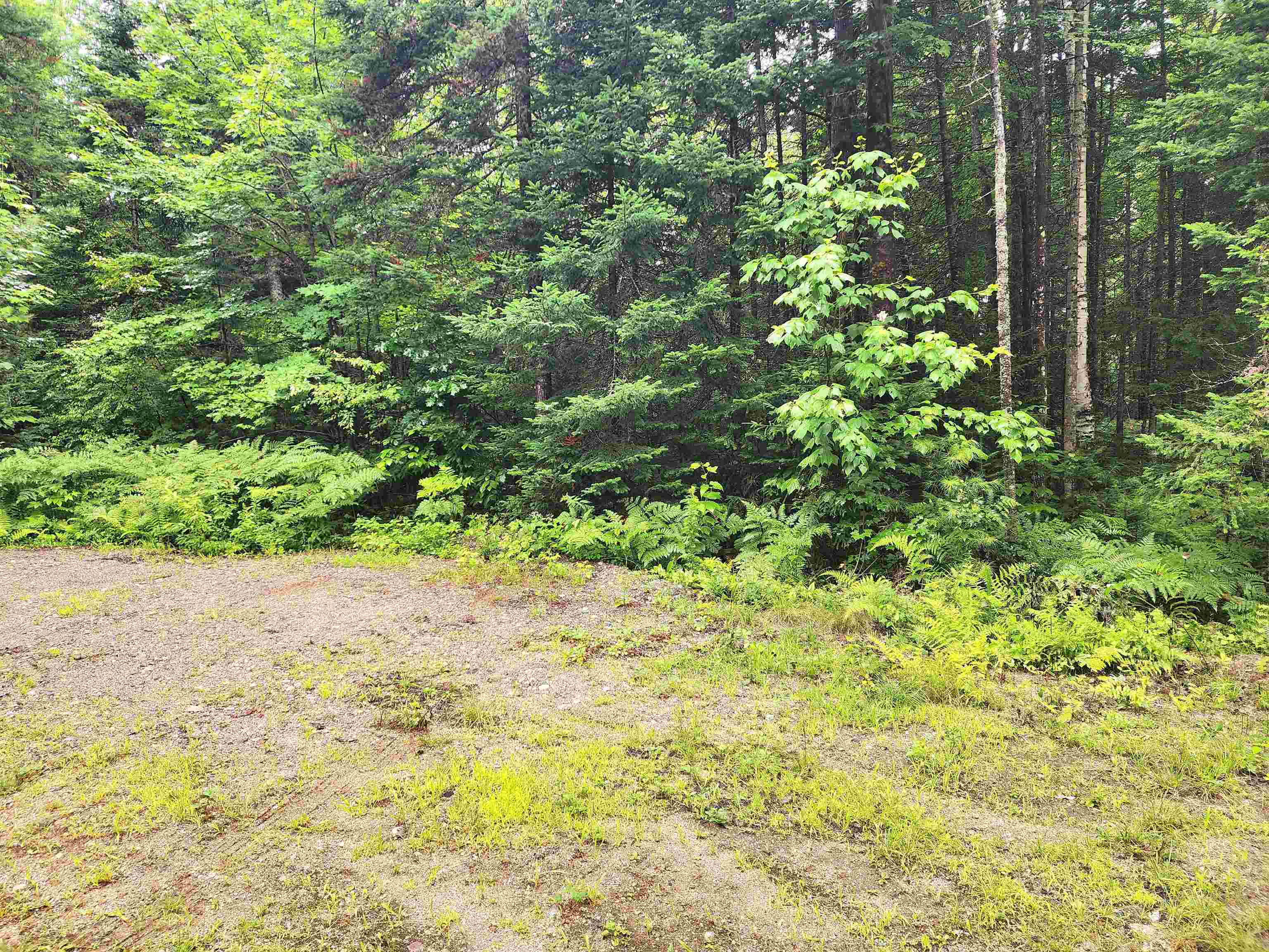 213 Bell Hill Road Stark, NH 03582 - Photo 17 of 23