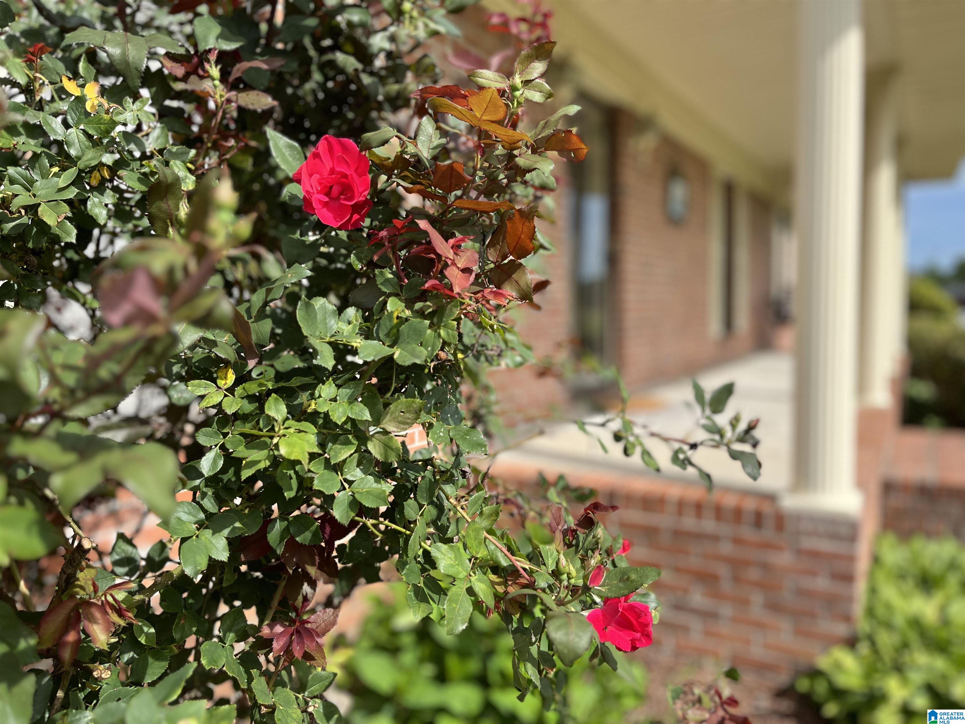 1066 Teem Road Cullman, AL 35057 - Photo 25 of 35