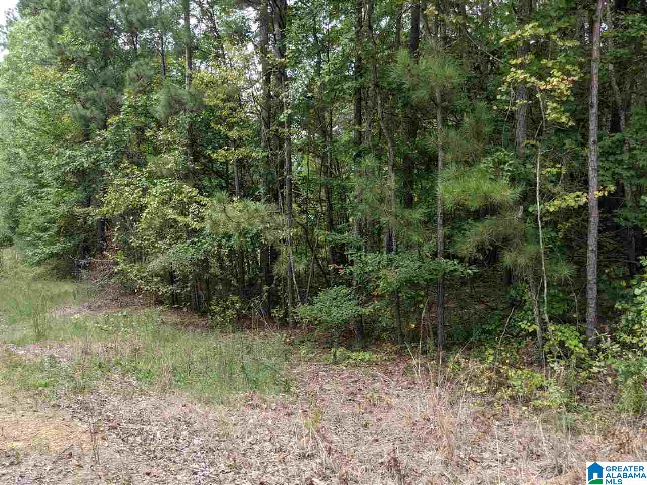 0 Smith Avenue, Unit 3 2 Anniston, AL 36207 - Photo 4 of 43