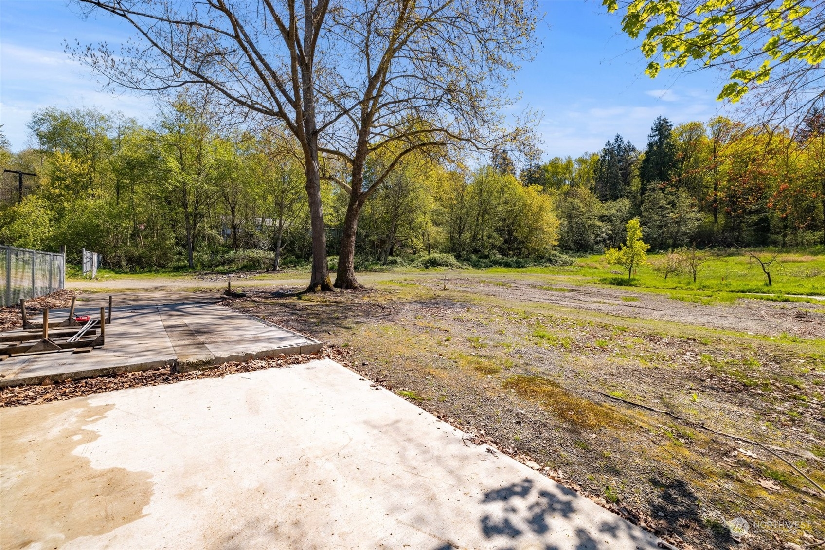 10101 Southeast Carr Road Renton, WA 98055 - Photo 5 of 12 a view of a backyard with large trees