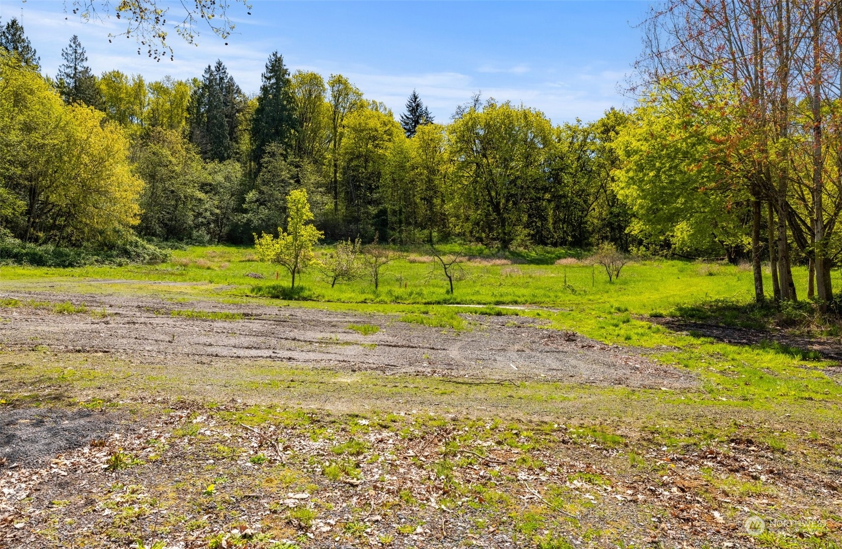10101 Southeast Carr Road Renton, WA 98055 - Photo 6 of 12 a view of a golf course with a lake