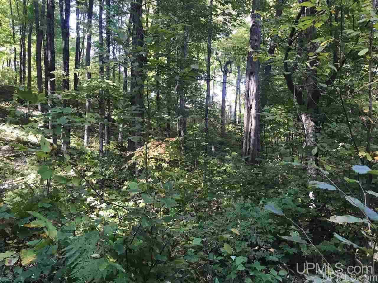 Tbd Ford River Road Arnold, MI 49831 - Photo 9 of 22