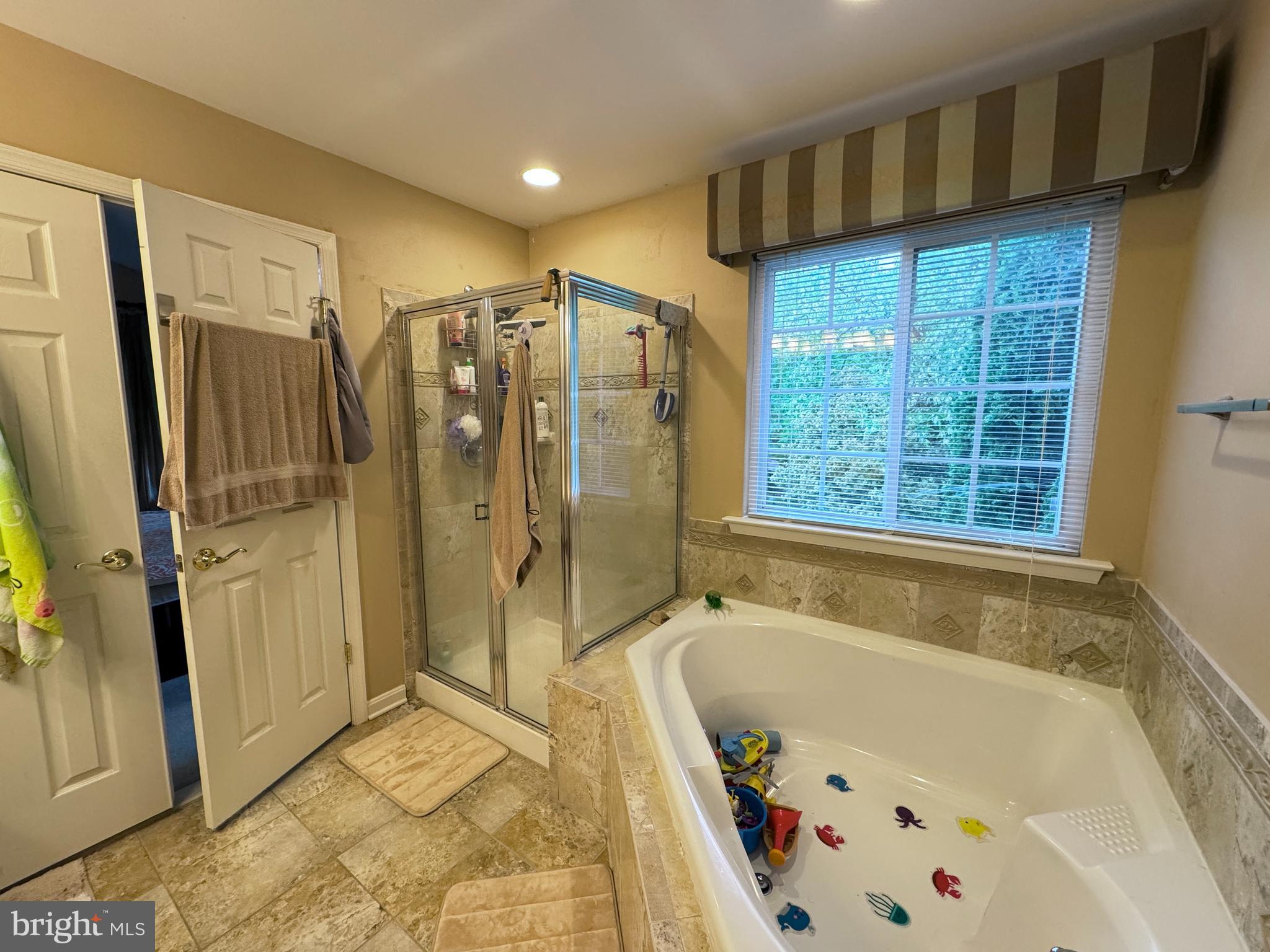 101 Rustic Court Perryville, MD 21903 - Photo 24 of 50 Soaking Tub