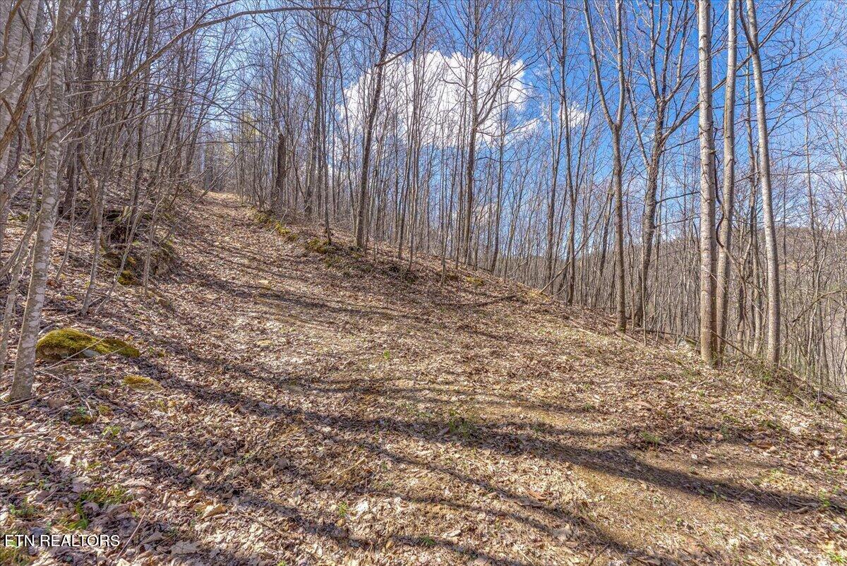 422 Crooked Branch Road Huntsville, TN 37756 - Photo 35 of 35 45-Trail A5