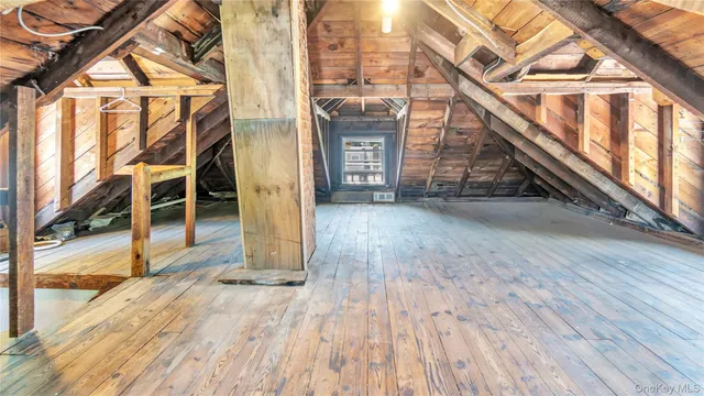 a view of a garden with plants