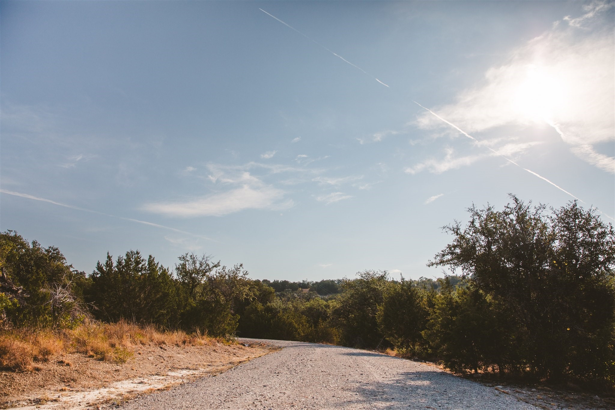 340 Ranch View Road Spicewood, TX 78669 - Photo 14 of 40 a view of a dry yard with trees
