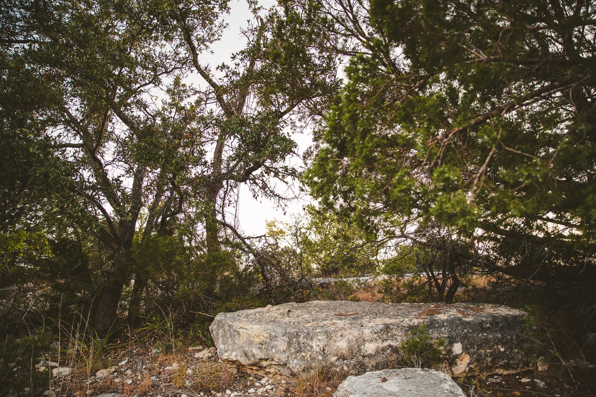 340 Ranch View Road Spicewood, TX 78669 - Photo 19 of 40 a view of backyard space