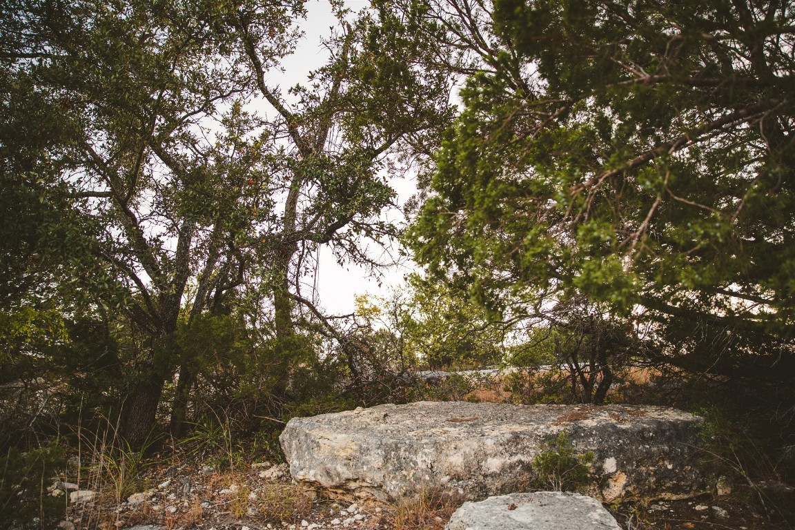 340 Ranch View Road Spicewood, TX 78669 - Photo 19 of 40 a view of backyard with green space