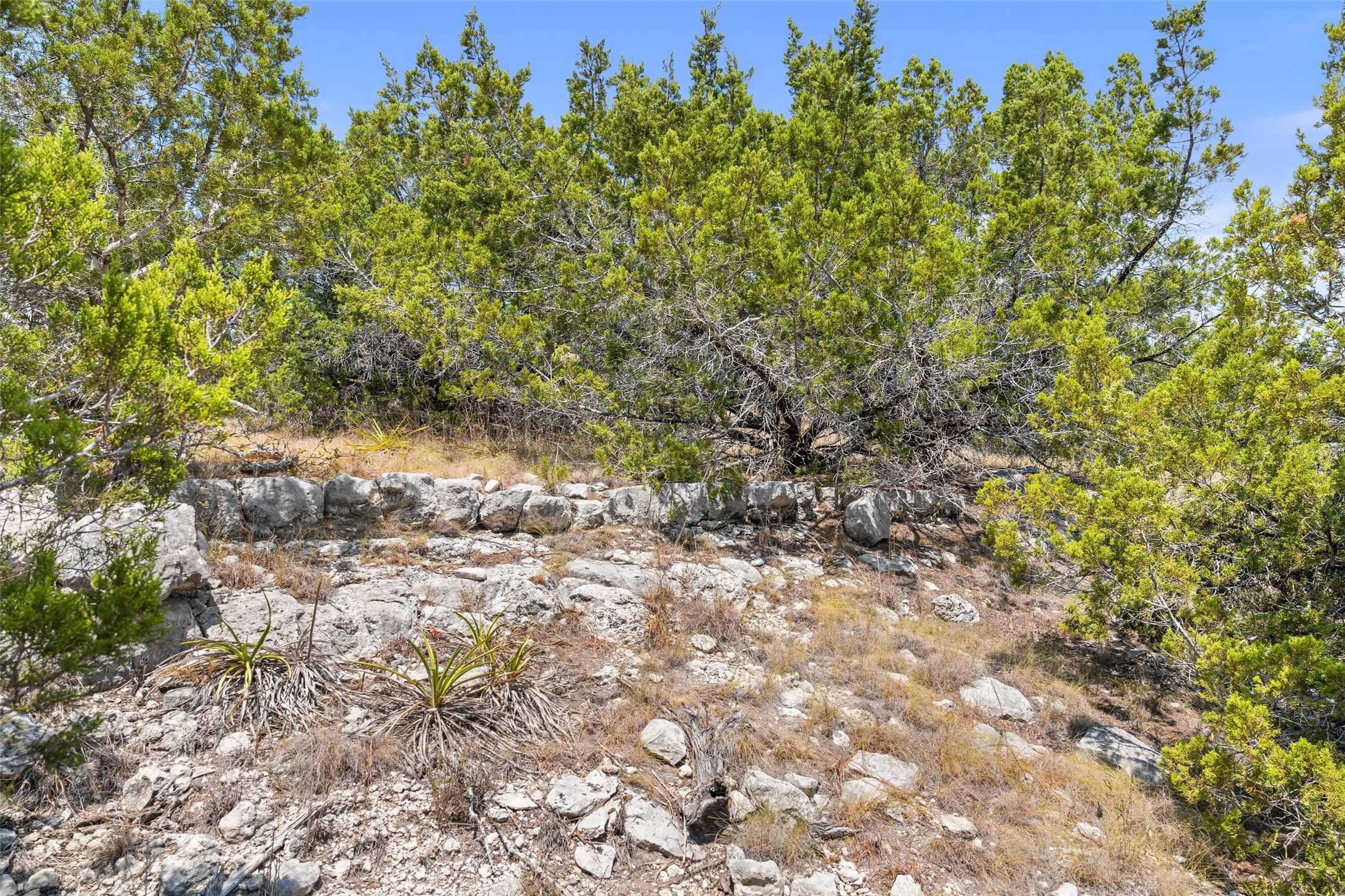 340 Ranch View Road Spicewood, TX 78669 - Photo 35 of 40 a view of a yard with a tree