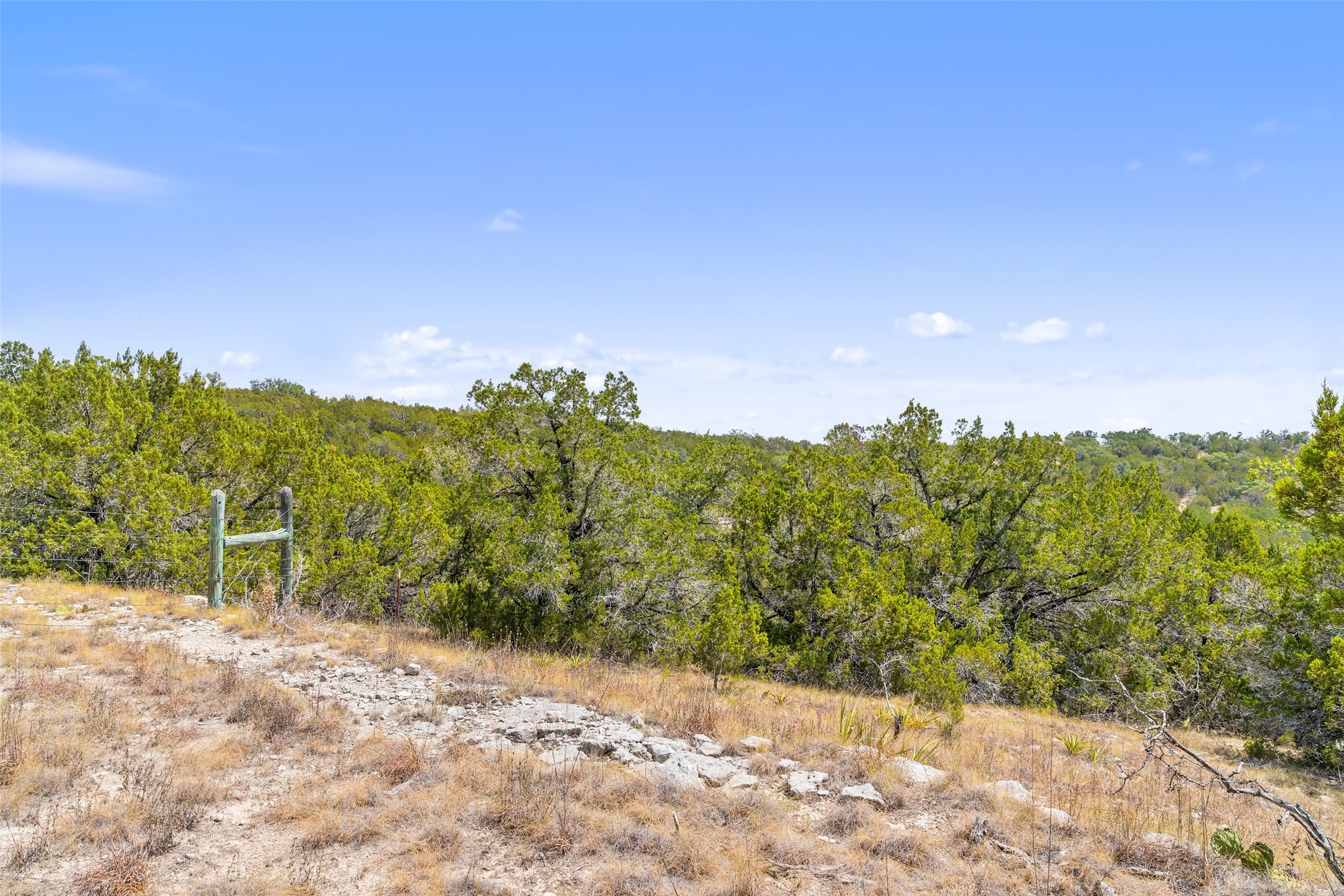 340 Ranch View Road Spicewood, TX 78669 - Photo 36 of 40 a view of a yard with a tree