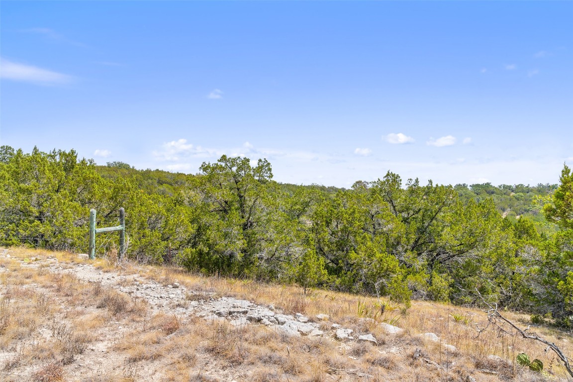 340 Ranch View Road Spicewood, TX 78669 - Photo 36 of 40 a view of a yard with a tree