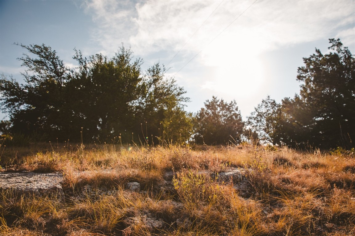 340 Ranch View Road Spicewood, TX 78669 - Photo 5 of 40 a view of a yard of a house