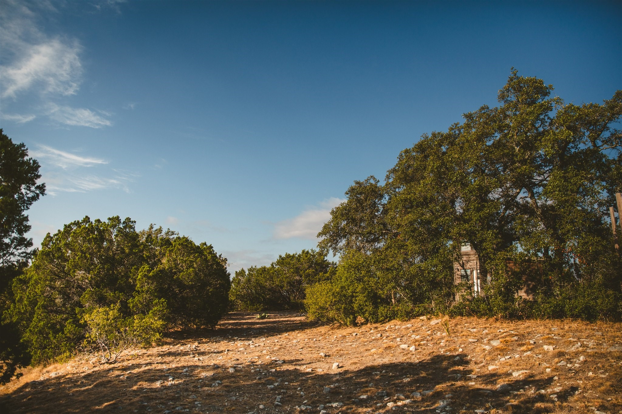 340 Ranch View Road Spicewood, TX 78669 - Photo 8 of 40 a view of a yard with a tree