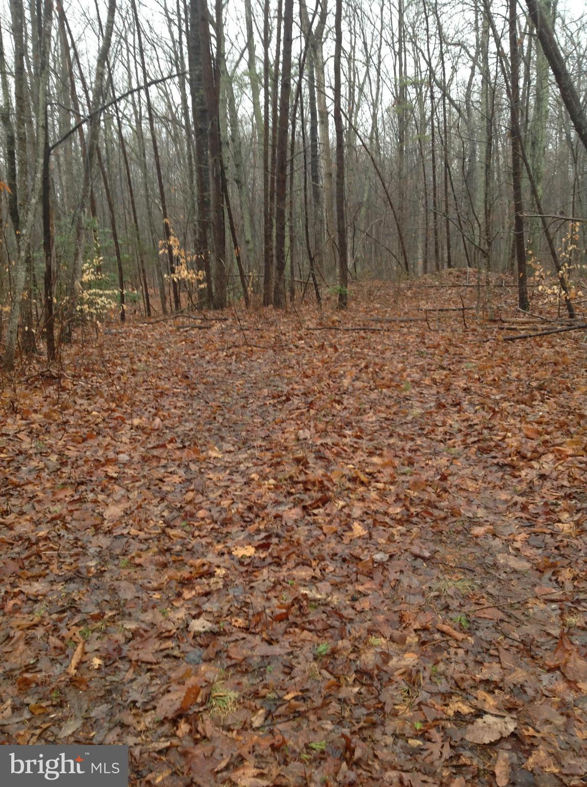 Elk Run Road Goldvein, VA 22720 - Photo 2 of 2 View