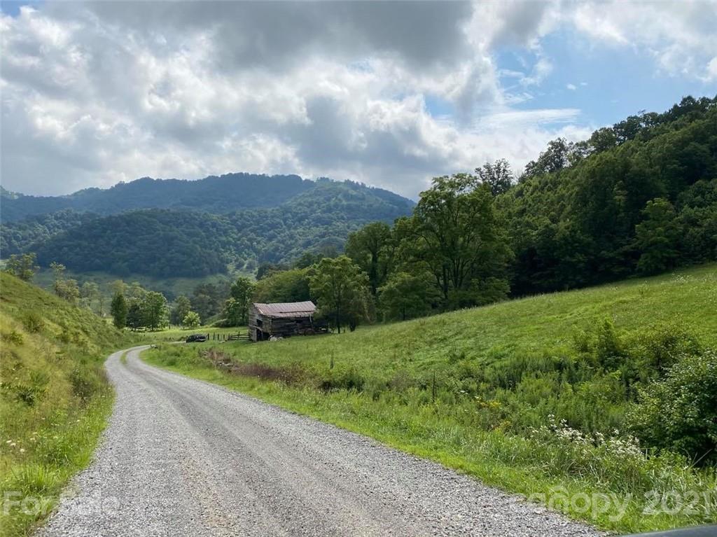 0 Clark Road Clyde, NC 28721 - Photo 1 of 17 a view of a garden with mountains in the background