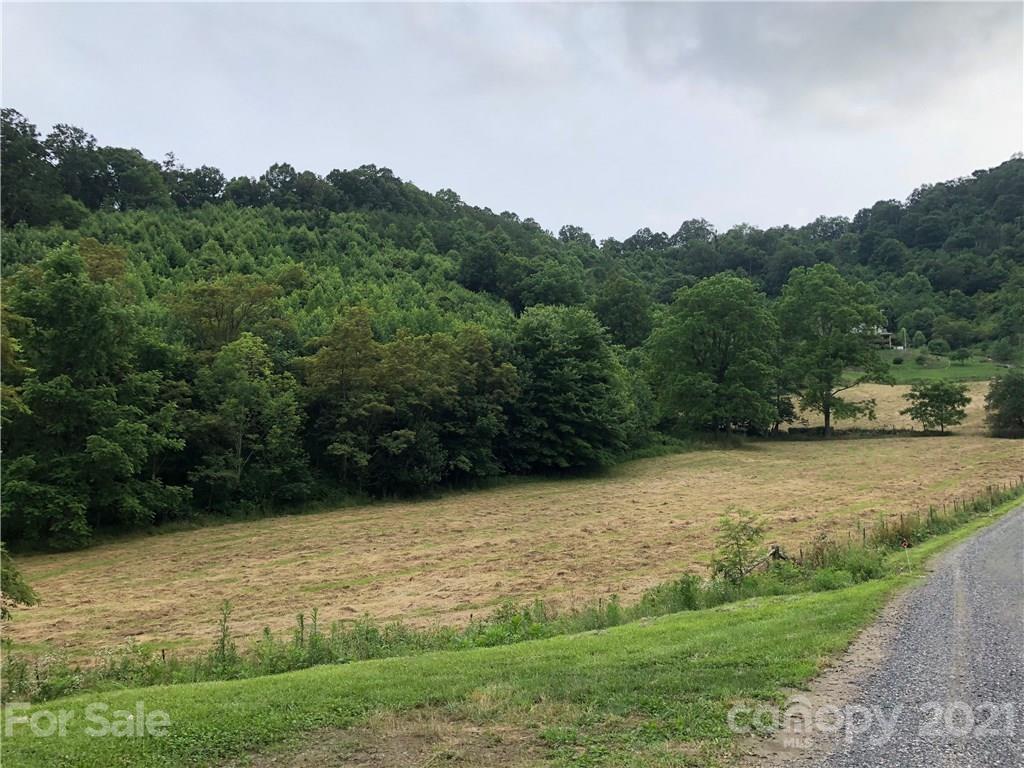 0 Clark Road Clyde, NC 28721 - Photo 2 of 17 a view of a yard with an outdoor space