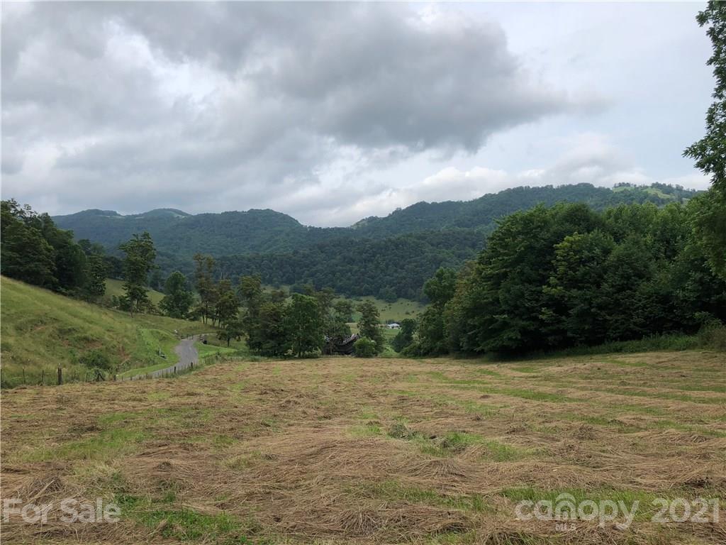 0 Clark Road Clyde, NC 28721 - Photo 12 of 17 a view of a yard with an trees