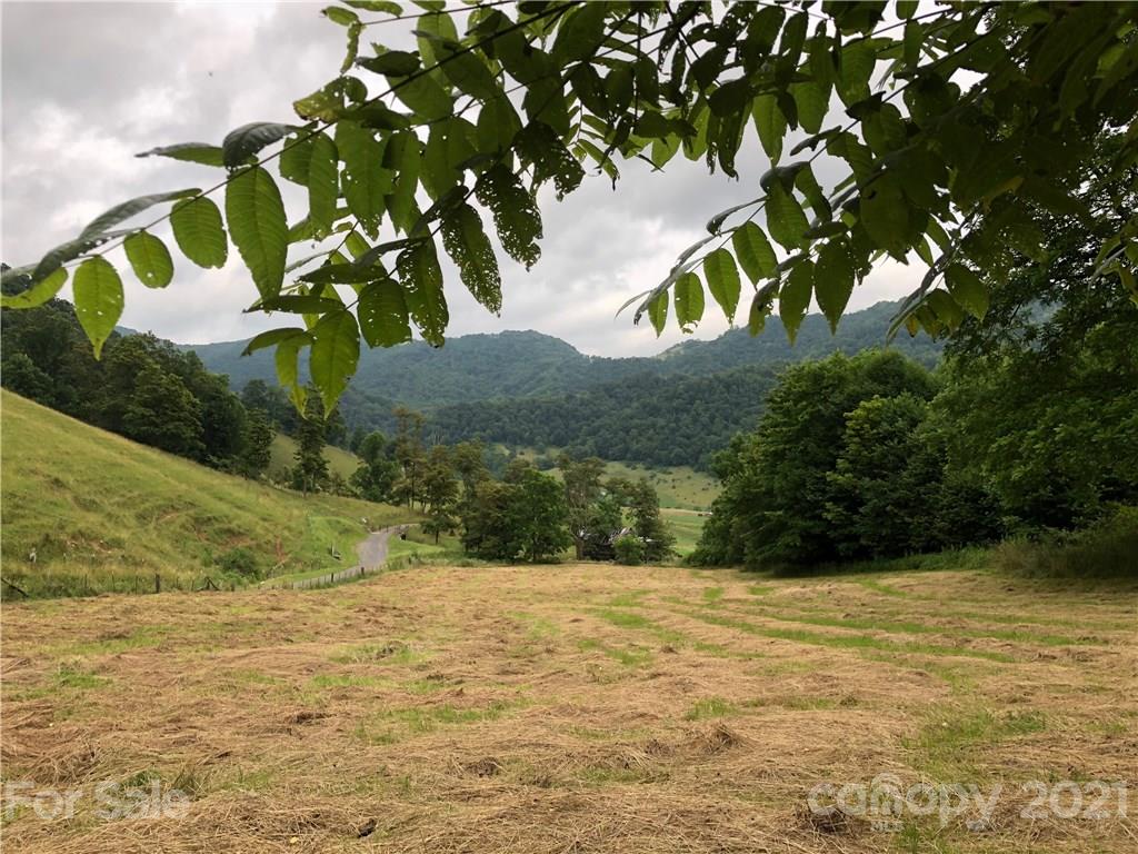 0 Clark Road Clyde, NC 28721 - Photo 13 of 17 a view of outdoor space and yard