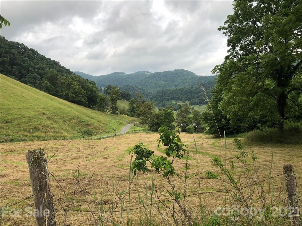 0 Clark Road Clyde, NC 28721 - Photo 14 of 17 a view of a lake view