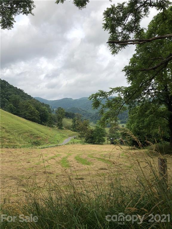 0 Clark Road Clyde, NC 28721 - Photo 15 of 17 a view of an ocean