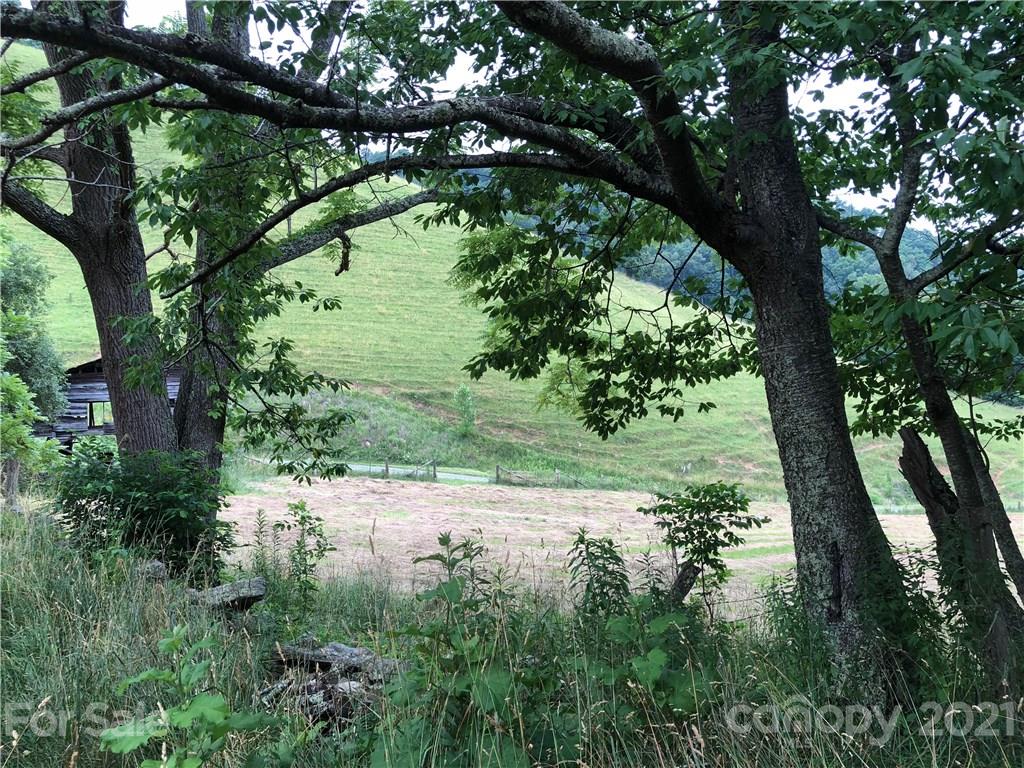 0 Clark Road Clyde, NC 28721 - Photo 16 of 17 a view of a yard with a tree