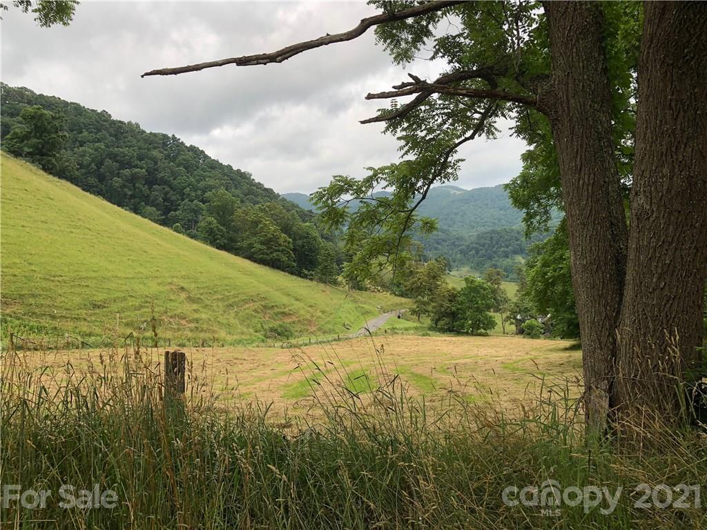 0 Clark Road Clyde, NC 28721 - Photo 17 of 17 a view of lake with green space