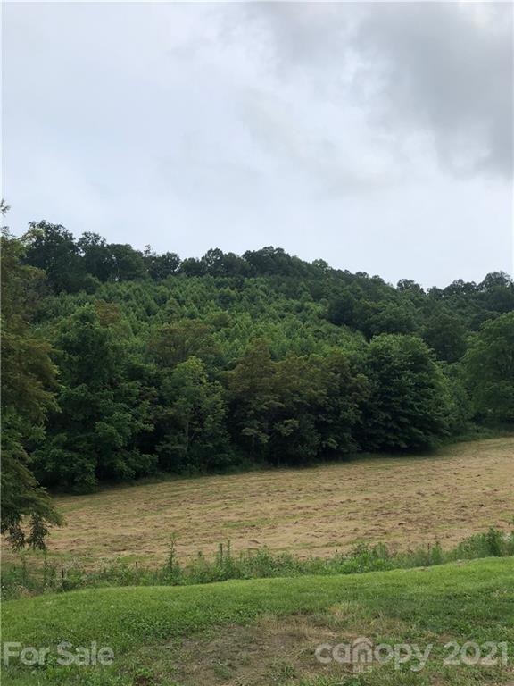 0 Clark Road Clyde, NC 28721 - Photo 3 of 17