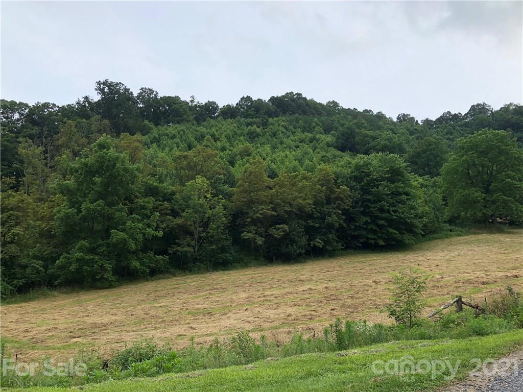 0 Clark Road Clyde, NC 28721 - Photo 4 of 17 a view of a lake view