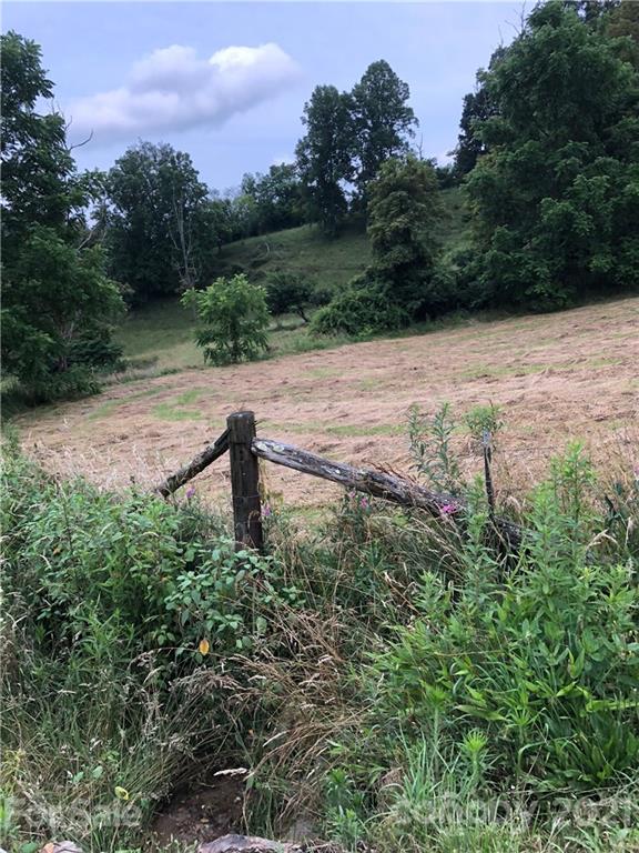 0 Clark Road Clyde, NC 28721 - Photo 6 of 17 a view of a pathway with a yard