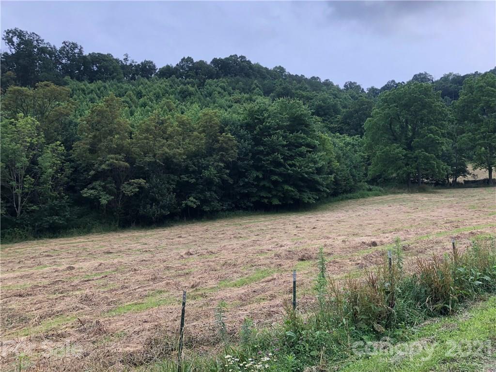 0 Clark Road Clyde, NC 28721 - Photo 7 of 17