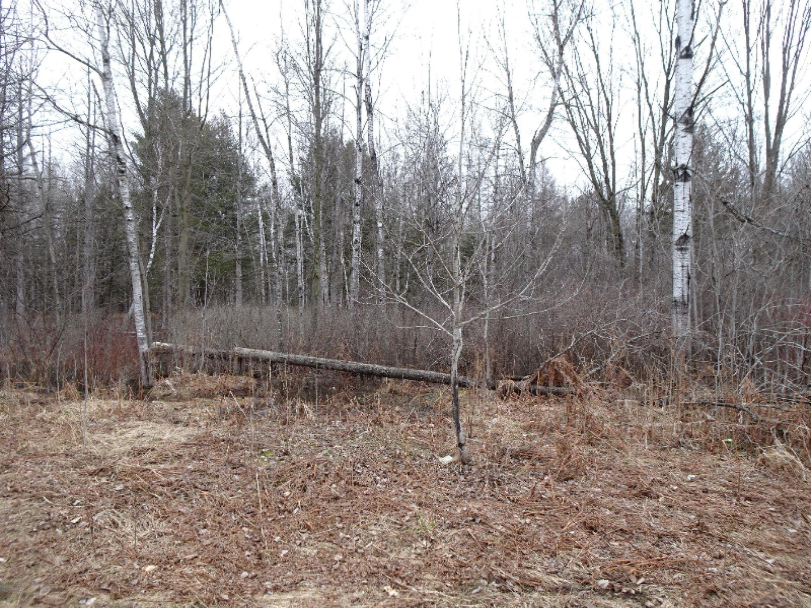15766 Makinen Road Kaleva, MI 49645 - Photo 7 of 16 a23f859c-12cf-457e-aeff-992b3b6c314f