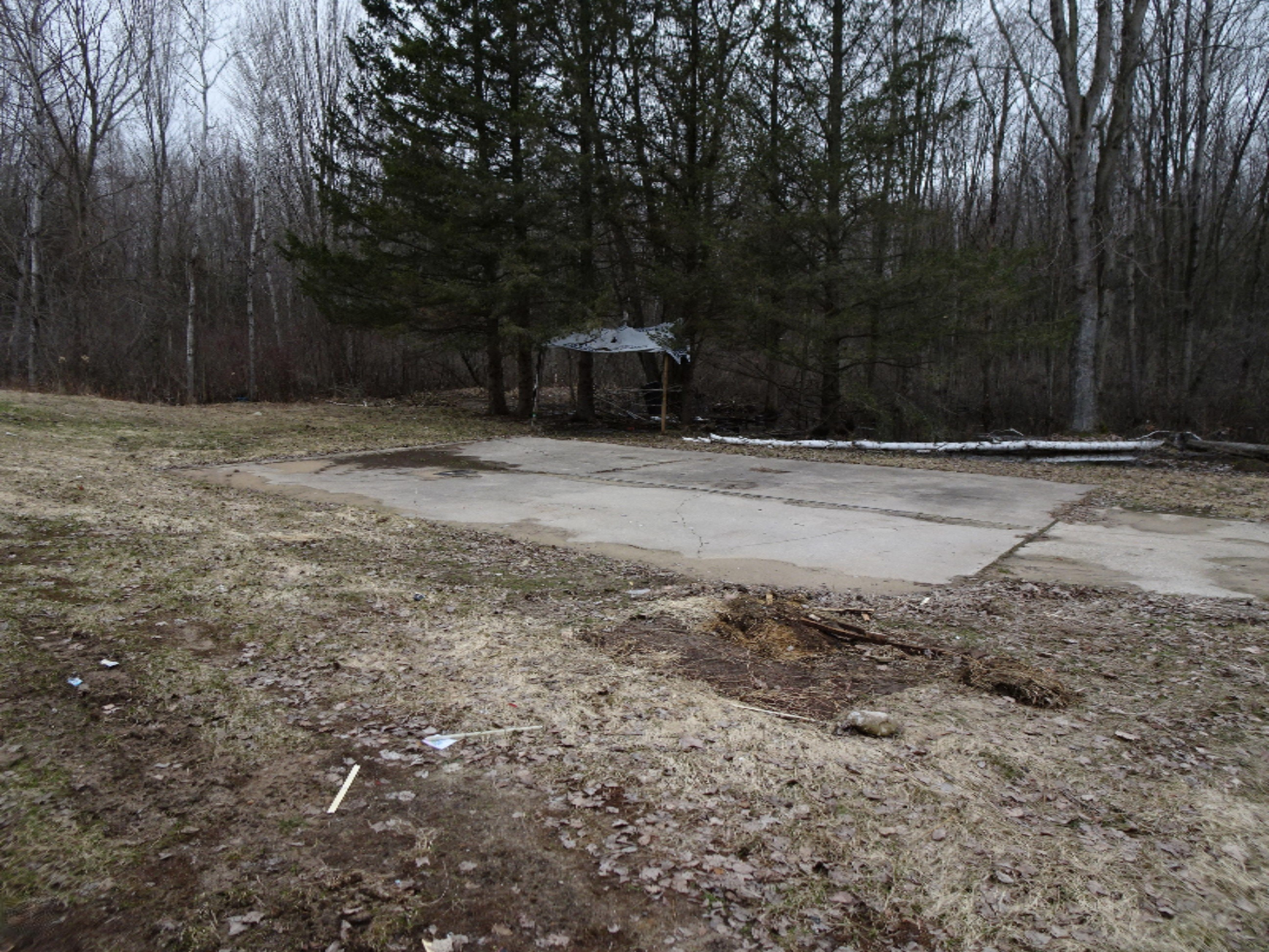 15766 Makinen Road Kaleva, MI 49645 - Photo 9 of 16 f34ed5fa-a973-45cb-8eff-549628c88d13