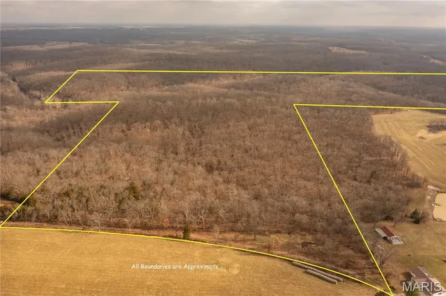 $980,000 | 0 Abbott Road, Bellflower, MO 63333