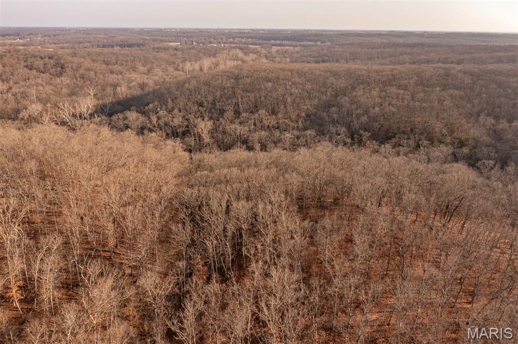 0 Abbott Road Bellflower, MO 63333 - Photo 11 of 18