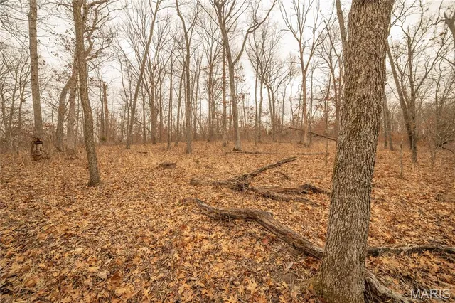 $980,000 | 0 Abbott Road, Bellflower, MO 63333