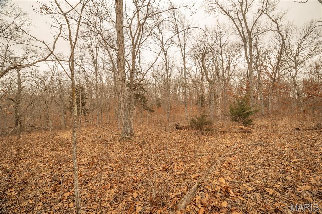 0 Abbott Road Bellflower, MO 63333 - Photo 12 of 30