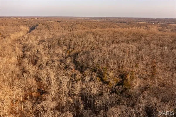 $846,002 | 0 Abbott Road, Bellflower, MO 63333