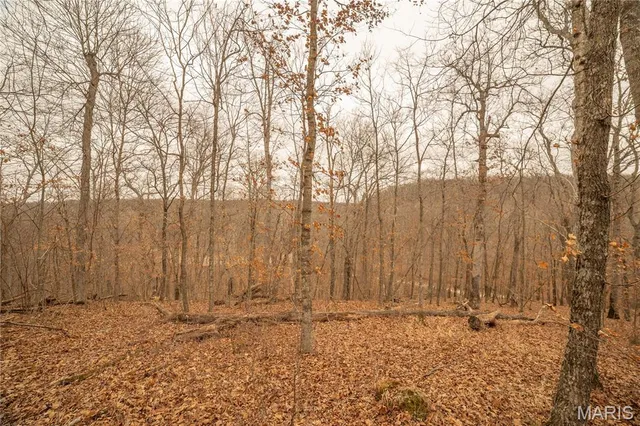 $980,000 | 0 Abbott Road, Bellflower, MO 63333