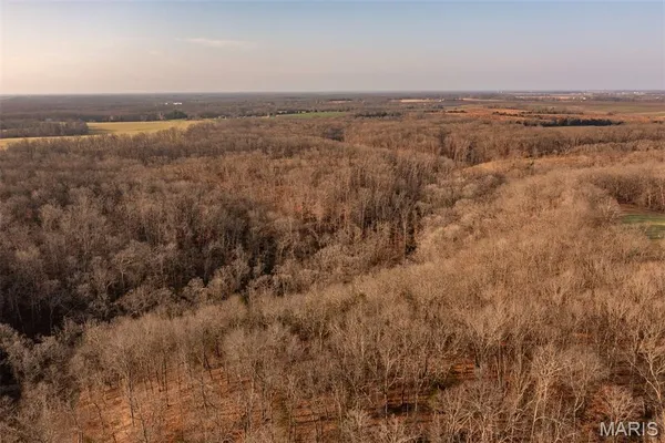 $846,002 | 0 Abbott Road, Bellflower, MO 63333