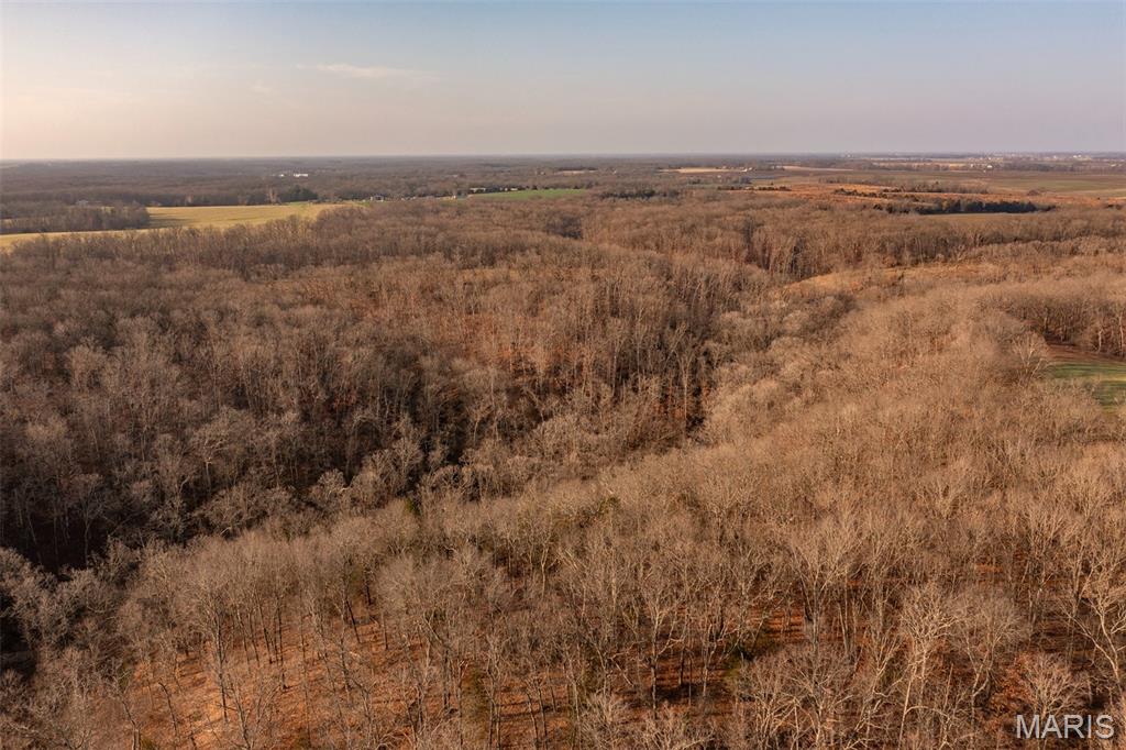 0 Abbott Road Bellflower, MO 63333 - Photo 13 of 18