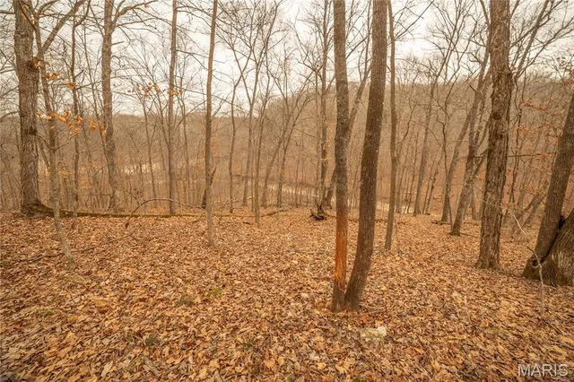 $980,000 | 0 Abbott Road, Bellflower, MO 63333