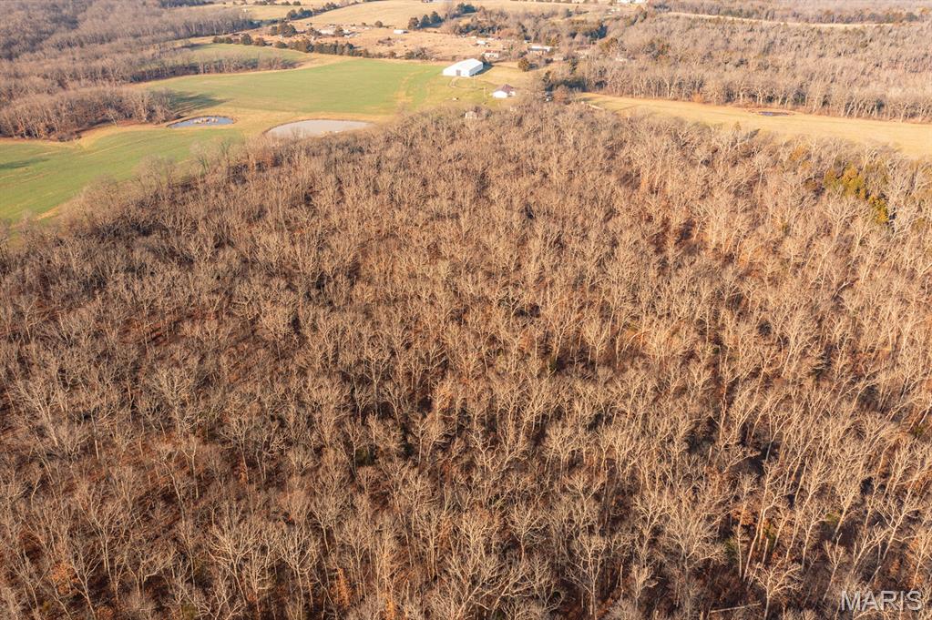 0 Abbott Road Bellflower, MO 63333 - Photo 14 of 18