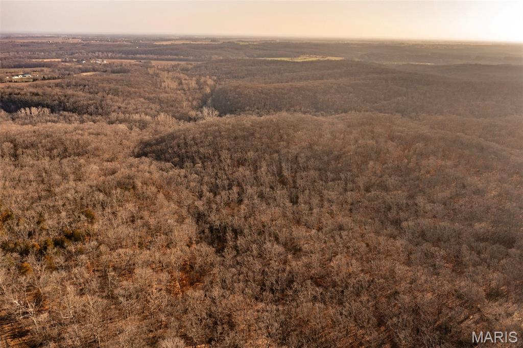 0 Abbott Road Bellflower, MO 63333 - Photo 15 of 18