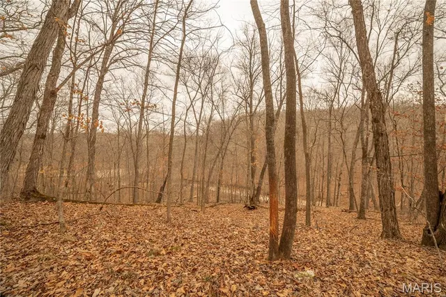 $980,000 | 0 Abbott Road, Bellflower, MO 63333