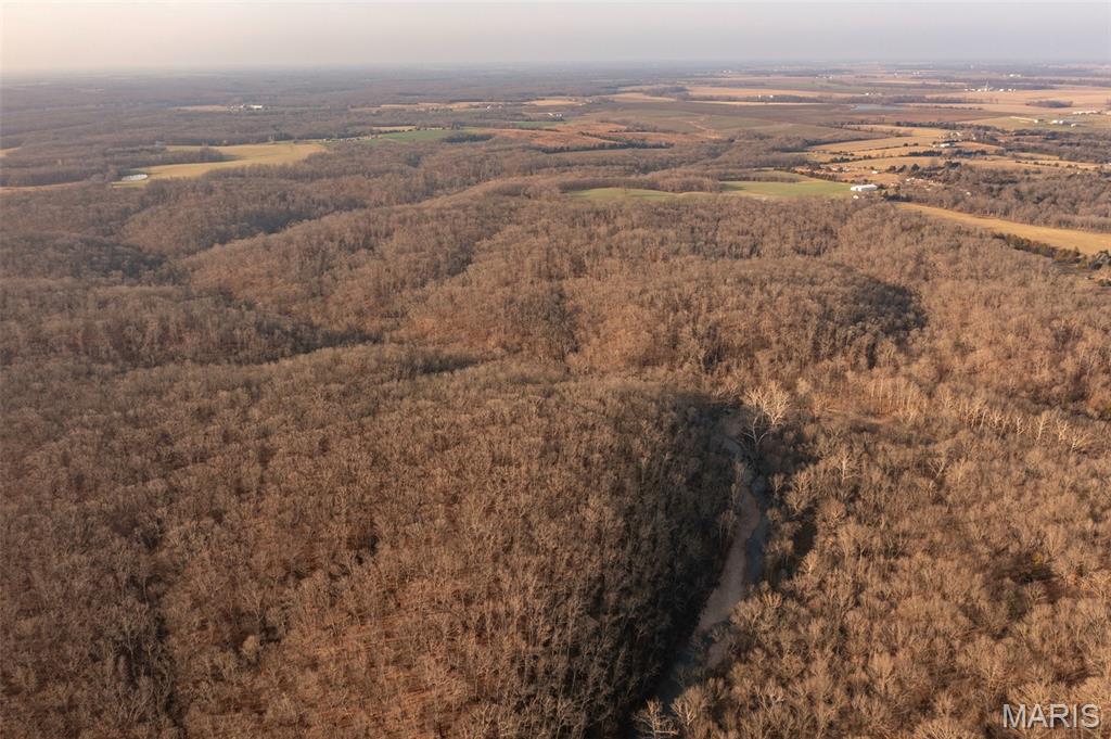 0 Abbott Road Bellflower, MO 63333 - Photo 16 of 18