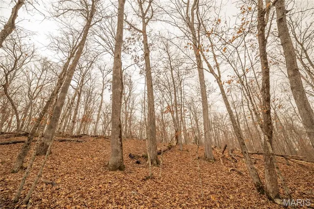 $980,000 | 0 Abbott Road, Bellflower, MO 63333