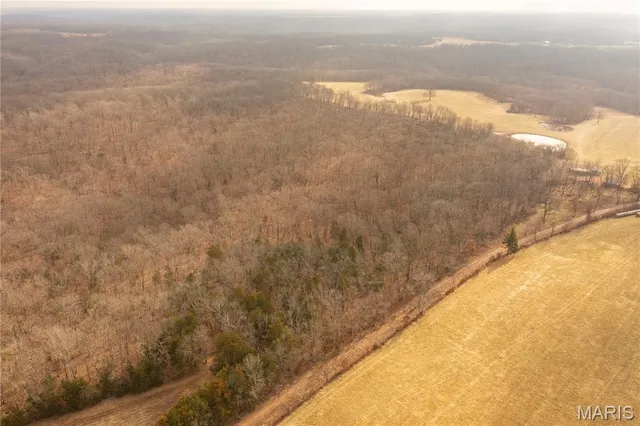 $980,000 | 0 Abbott Road, Bellflower, MO 63333