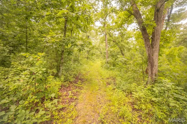 $846,002 | 0 Abbott Road, Bellflower, MO 63333