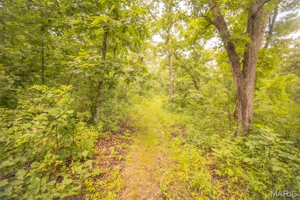 0 Abbott Road Bellflower, MO 63333 - Photo 17 of 18