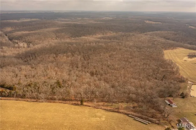 $980,000 | 0 Abbott Road, Bellflower, MO 63333